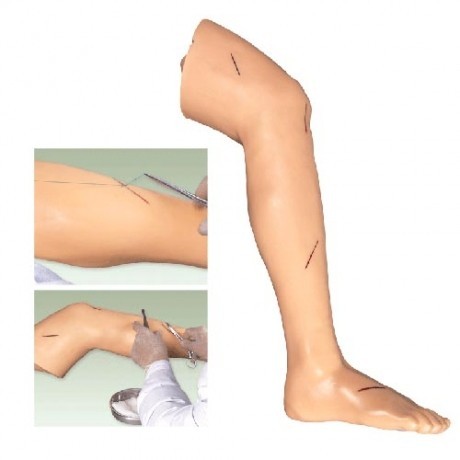 高級(jí)外科縫合腿肢模型