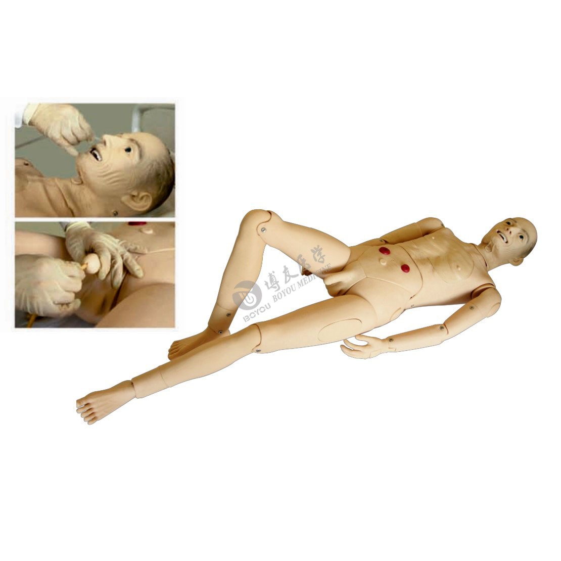 醫(yī)學(xué)教學(xué)模型 醫(yī)學(xué)教學(xué)模型