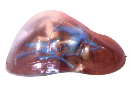 1450664183729152.png AW)5}$[_ZG3DL}WZ(8M)B~N.png