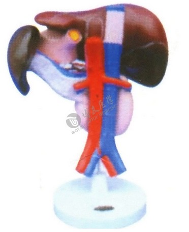 1450665843654483.png U82KDHI5)OQ~@~NPT`$K@K5.png