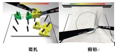 點(diǎn)擊瀏覽下一頁