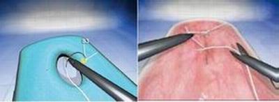 點(diǎn)擊瀏覽下一頁