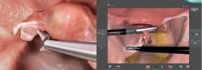 點(diǎn)擊瀏覽下一頁