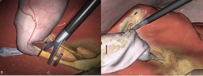 點(diǎn)擊瀏覽下一頁