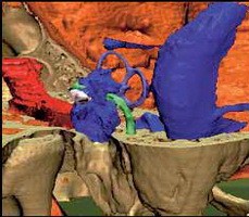 點擊瀏覽下一頁