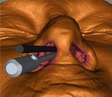 點擊瀏覽下一頁