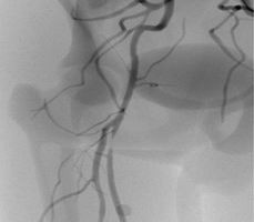點擊瀏覽下一頁