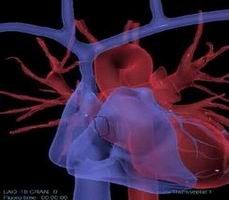 點擊瀏覽下一頁