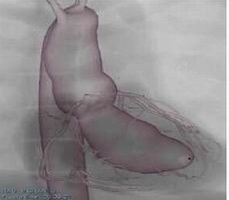 點擊瀏覽下一頁