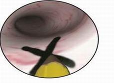 點擊瀏覽下一頁