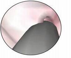 點擊瀏覽下一頁