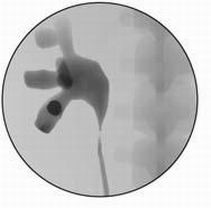 點擊瀏覽下一頁