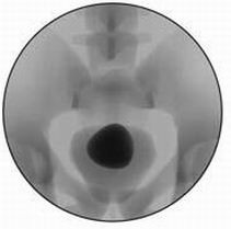 點擊瀏覽下一頁