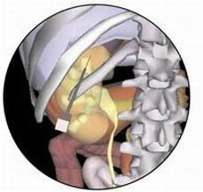點擊瀏覽下一頁