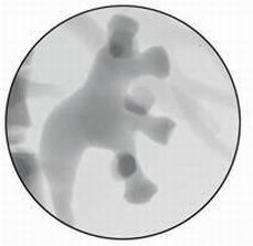 點擊瀏覽下一頁