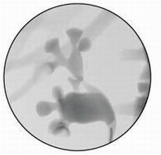 點擊瀏覽下一頁