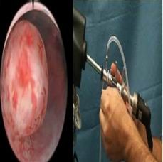 點(diǎn)擊瀏覽下一頁(yè)