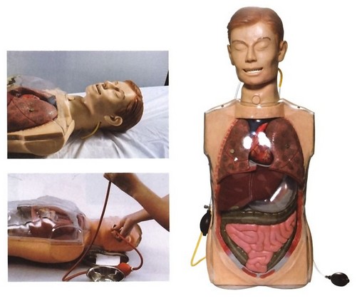 1462496425793768.png 7Q~RQ$BE[24PSRV((12SQ)E.png