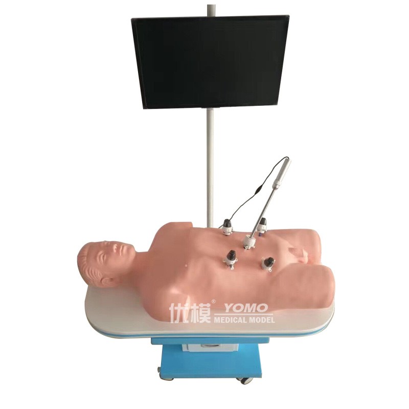 醫(yī)學(xué)教學(xué)模型