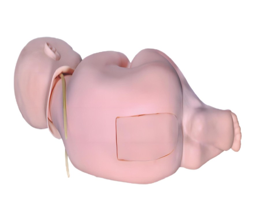 1739343990949479.png image.png