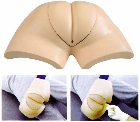 醫(yī)學(xué)教學(xué)模型 醫(yī)學(xué)教學(xué)模型