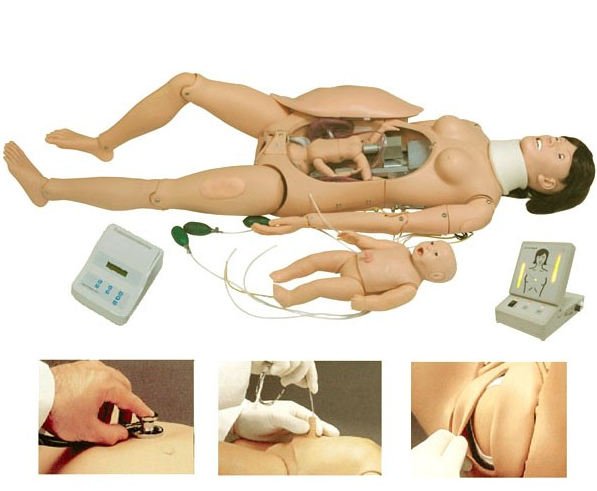 醫(yī)學(xué)教學(xué)模型 醫(yī)學(xué)教學(xué)模型