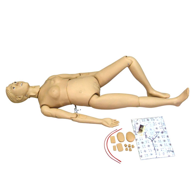 醫(yī)學教學模型 醫(yī)學教學模型