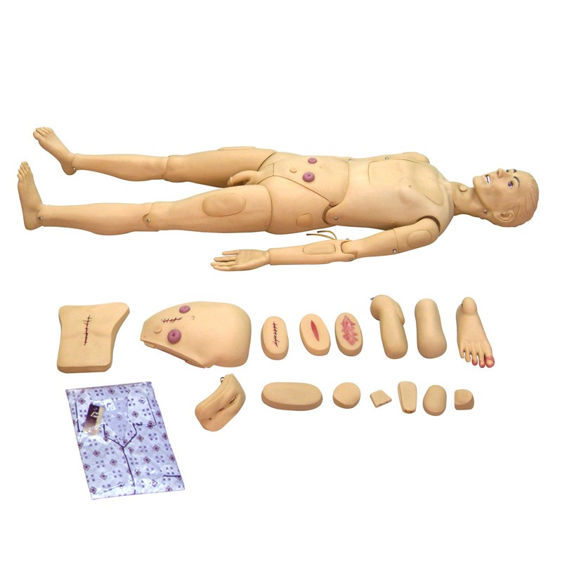 醫(yī)學(xué)教學(xué)模型 醫(yī)學(xué)教學(xué)模型