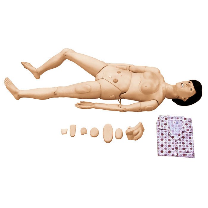 醫(yī)學(xué)教學(xué)模型 醫(yī)學(xué)教學(xué)模型