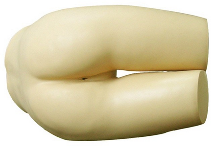 醫(yī)學(xué)教學(xué)模型