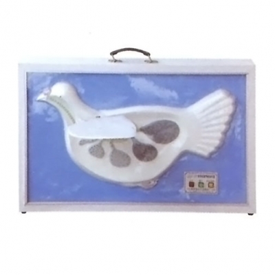 家鴿雙重呼吸演示模型