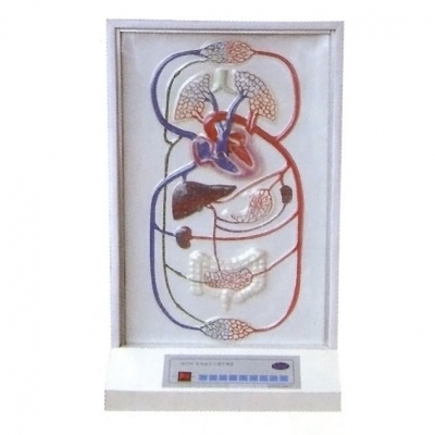 大小循環(huán)電動(dòng)模型