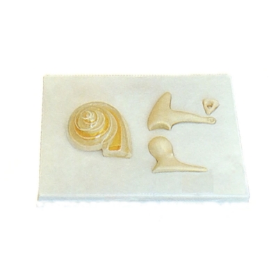 內(nèi)耳、聽小骨及骨膜放大模型