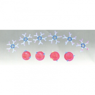 ABO血型演示模型