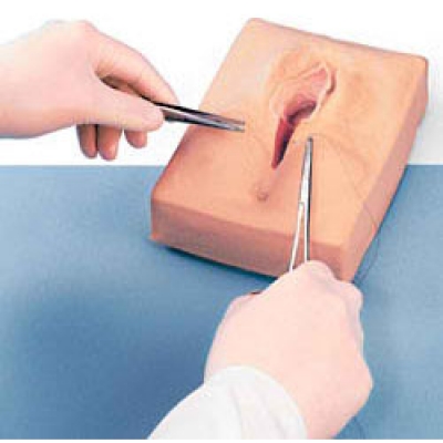 外陰切開縫合模型