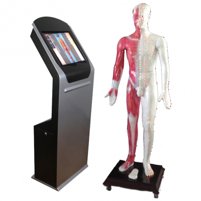 多媒體人體穴位發(fā)光數(shù)字交互平臺 ，多媒體人體針灸穴位交互數(shù)字平臺 ，多媒體針灸穴位發(fā)光模型