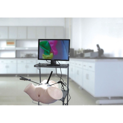 宮腔鏡模擬訓練器