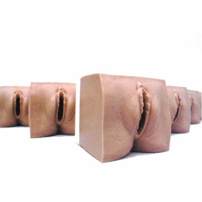 高級產(chǎn)前宮頸變化與產(chǎn)道關系模型