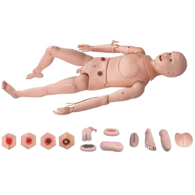 高級全功能護理人訓(xùn)練模型（男性）