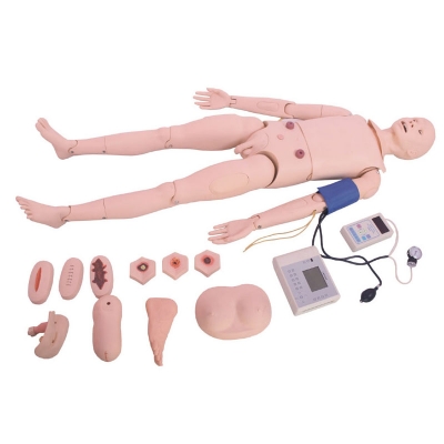  高級(jí)成人護(hù)理模型