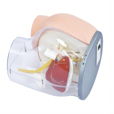 高級臀部肌肉注射訓(xùn)練及對比模型(帶檢測警示系統(tǒng))