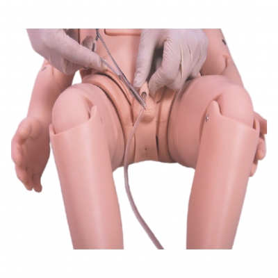 小兒導尿模型