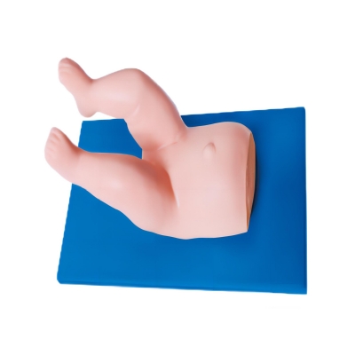  嬰兒髖關節(jié)復位訓練模型