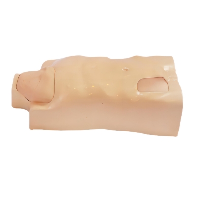 靜脈注射軀干訓練模型