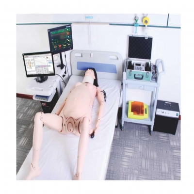 高智能數(shù)字化婦產(chǎn)科技能訓(xùn)練系統(tǒng)（計算機控制）