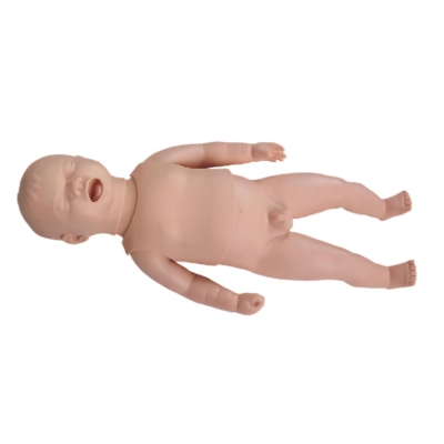 新生兒生長指標評定及護理訓練模型