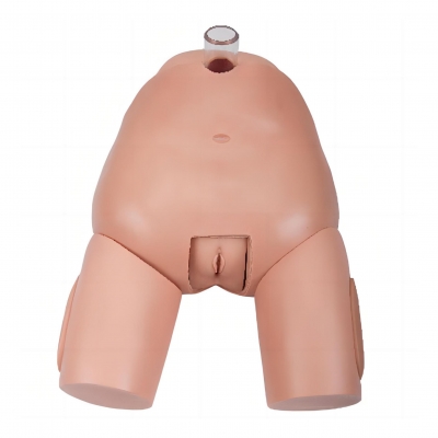 高級(jí)女性膀胱穿刺模型