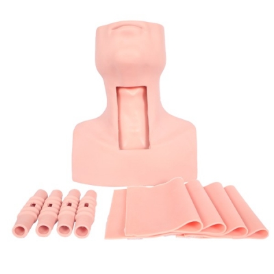 高級(jí)環(huán)甲膜穿刺及氣管切開訓(xùn)練模型