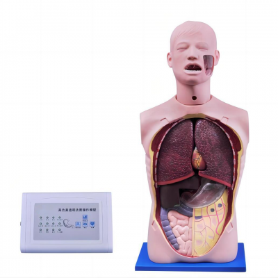 高級透明洗胃訓練模型