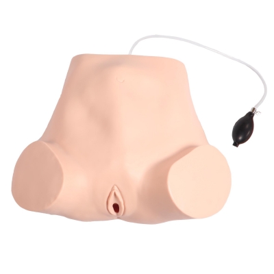 四步觸診、肛查、陰道檢查訓(xùn)練模型